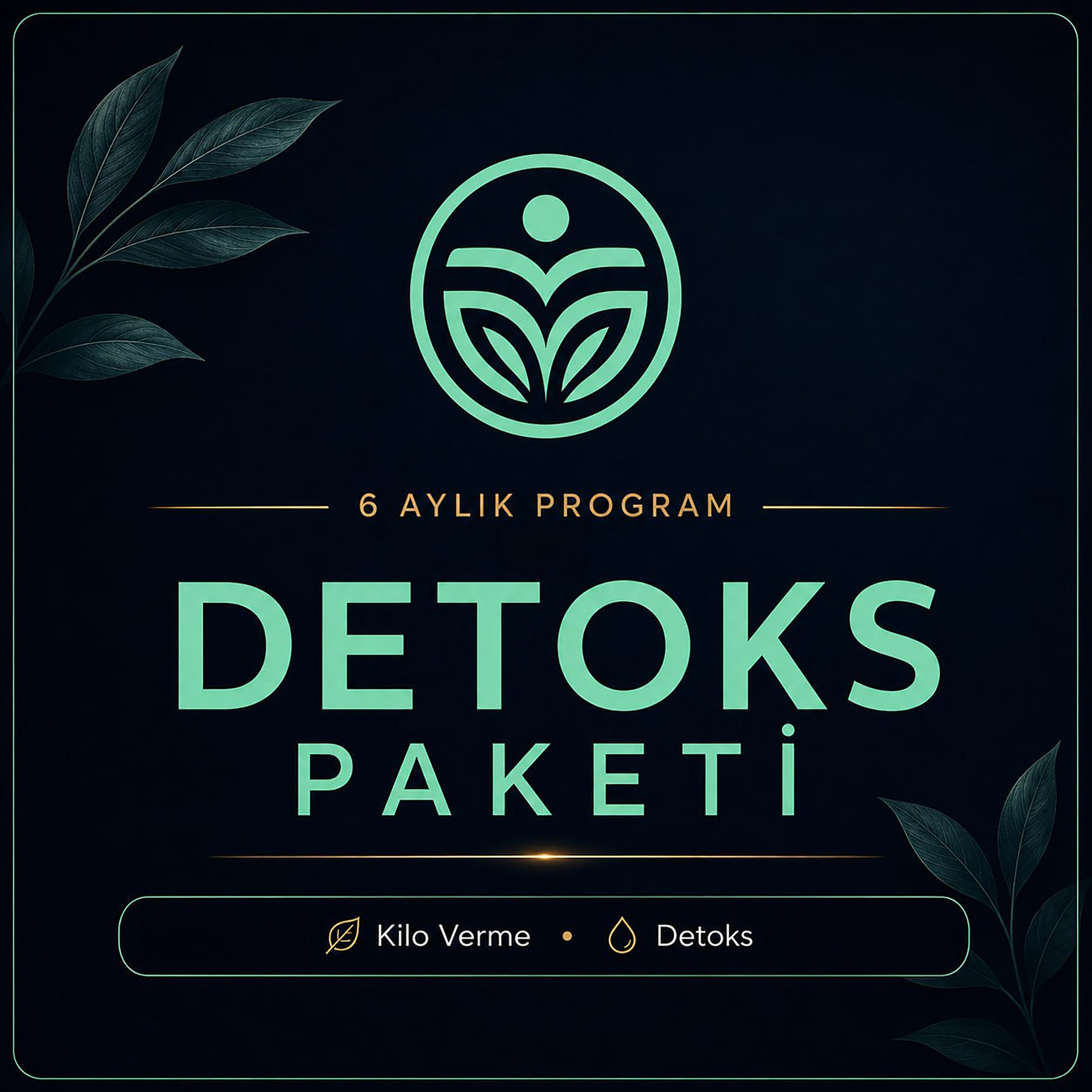 KİLO VERME VE DETOKS PAKETİ